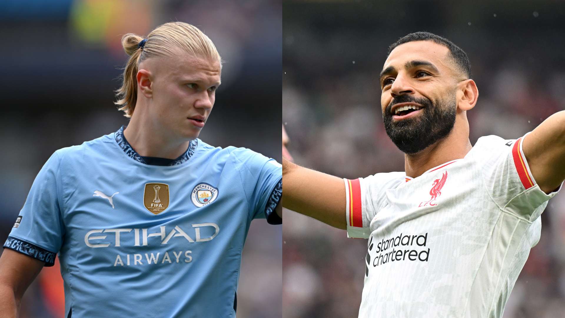 多种语言解 多种语言解