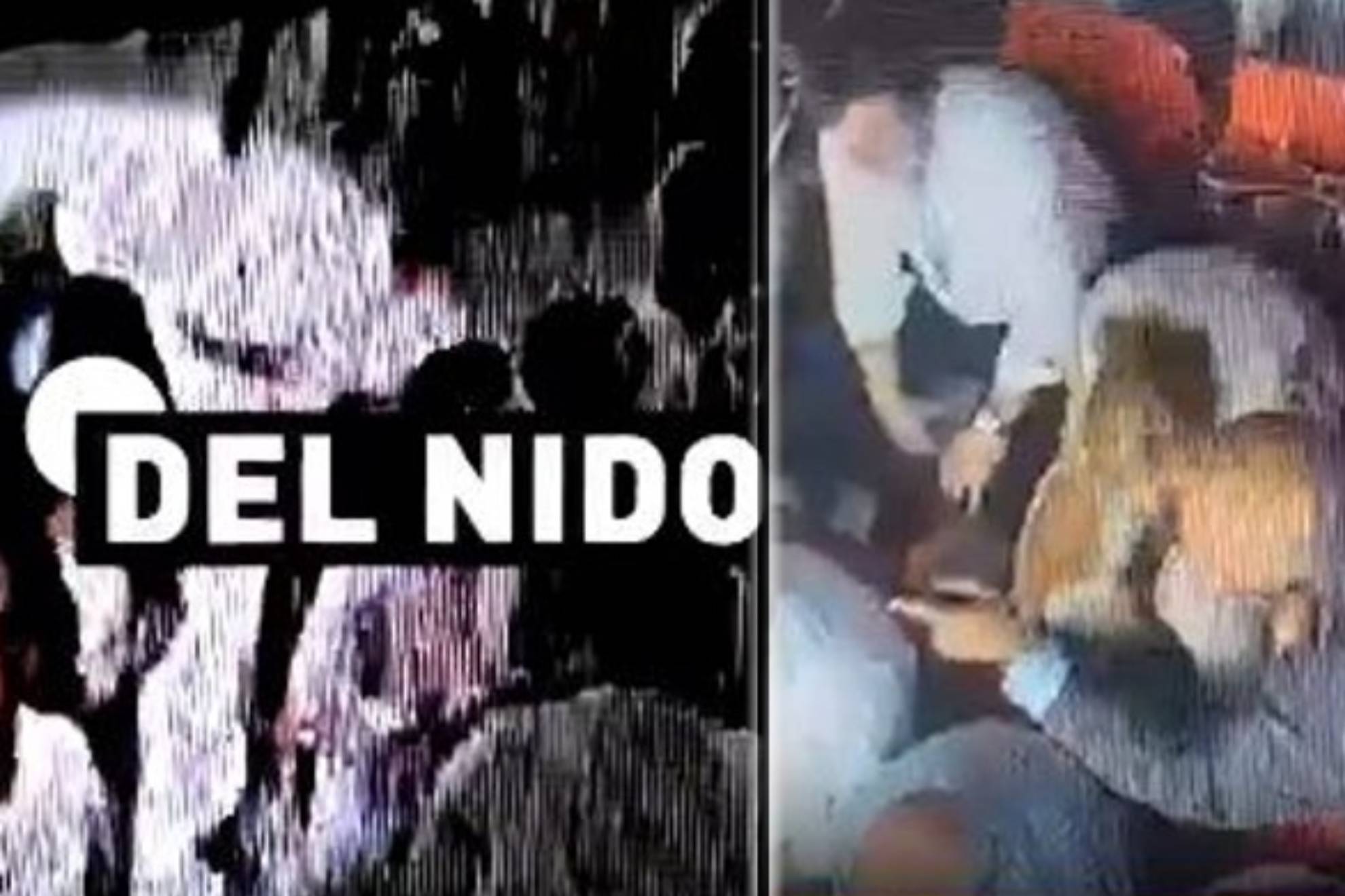 球迷们的喝 球迷们的喝