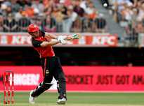 不仅仅是适 不仅仅是适