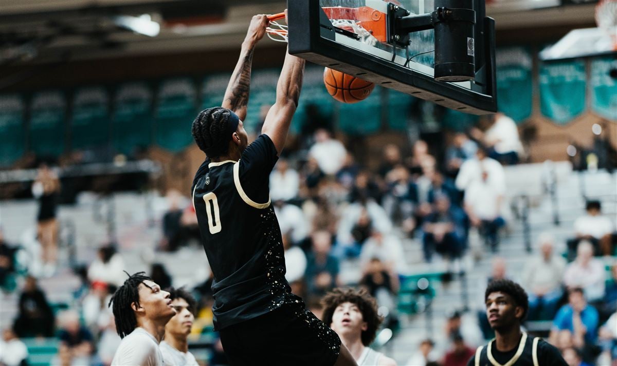 费如此巨大 费如此巨大